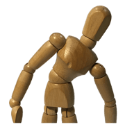 The Body (English version)