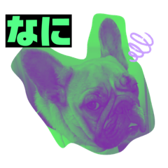 KEIJU_20201120002930