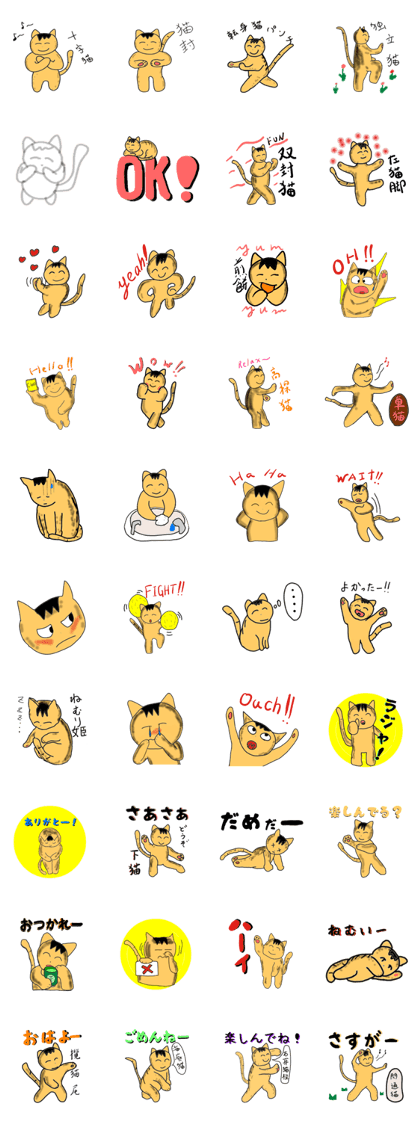 "Icchann"The Tai chi cat "Icchann"The Tai chi cat