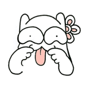 what's the cat what's the cat