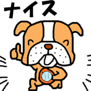 Going out floating? Dog 2