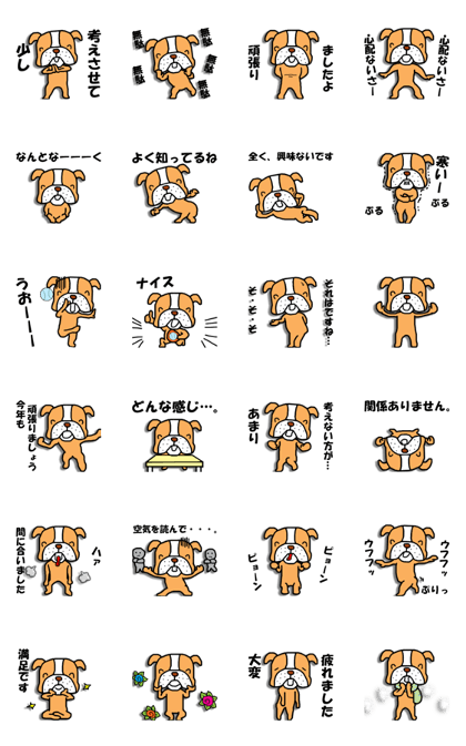 Going out floating? Dog 2