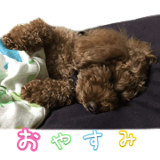 One day in manager Hapio One day in manager Hapio