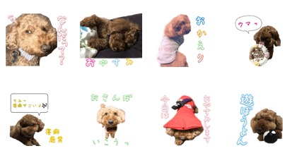 One day in manager Hapio One day in manager Hapio