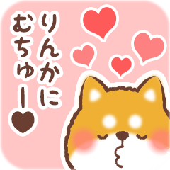 Love Sticker to Rinka from Shiba 2