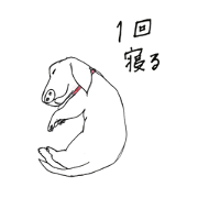 funny dachshund sabon