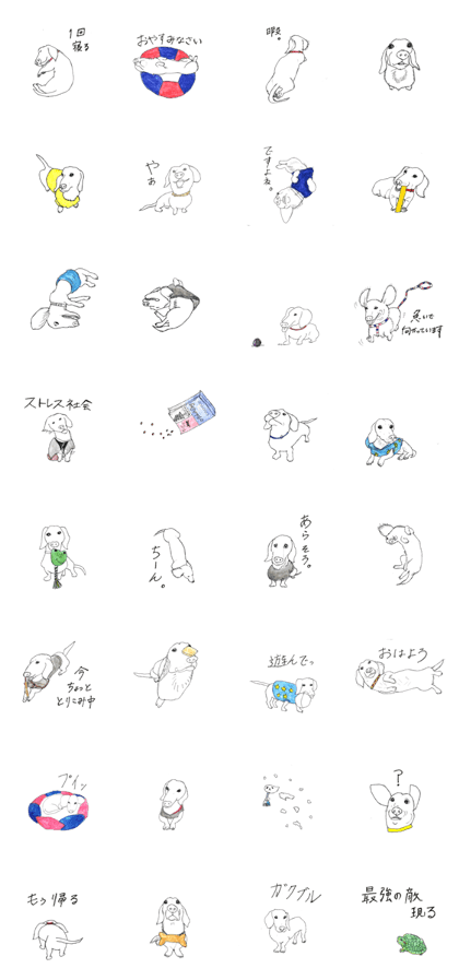 funny dachshund sabon