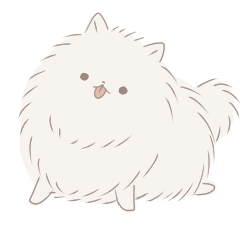 Pomeranian is cute