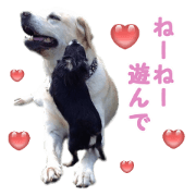 petstamp prize in 2016