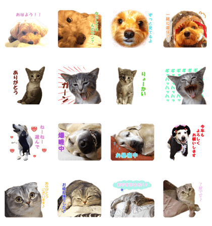 petstamp prize in 2016