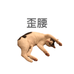 皮蛋沒有蛋日常