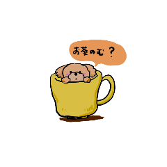 Tomomo_20201119215125