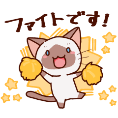 Siamese cat who speaks politely