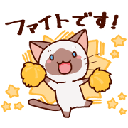 Siamese cat who speaks politely Siamese cat who speaks politely