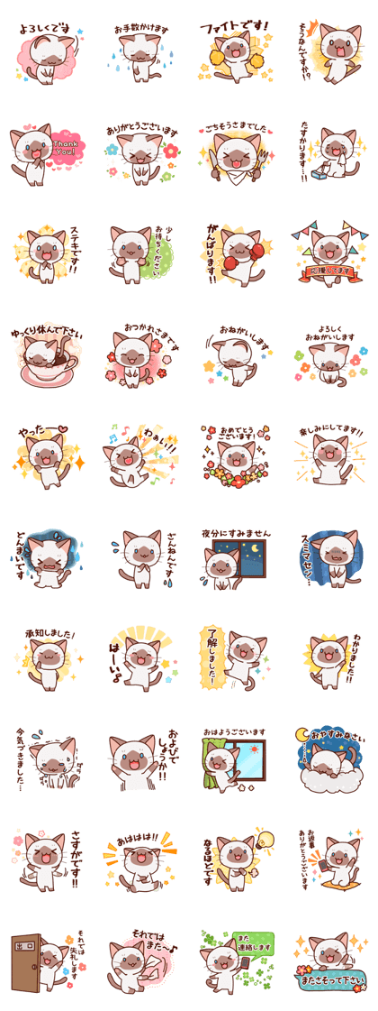 Siamese cat who speaks politely Siamese cat who speaks politely