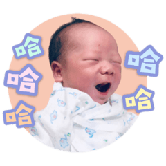 劉大寶