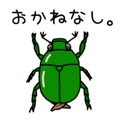 Insects Jp