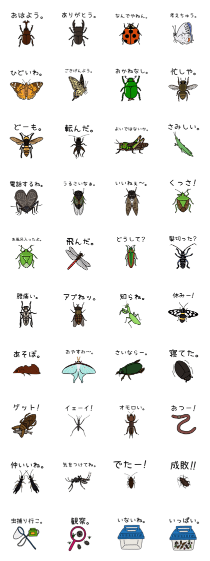 Insects Jp