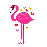 shige flamingo
