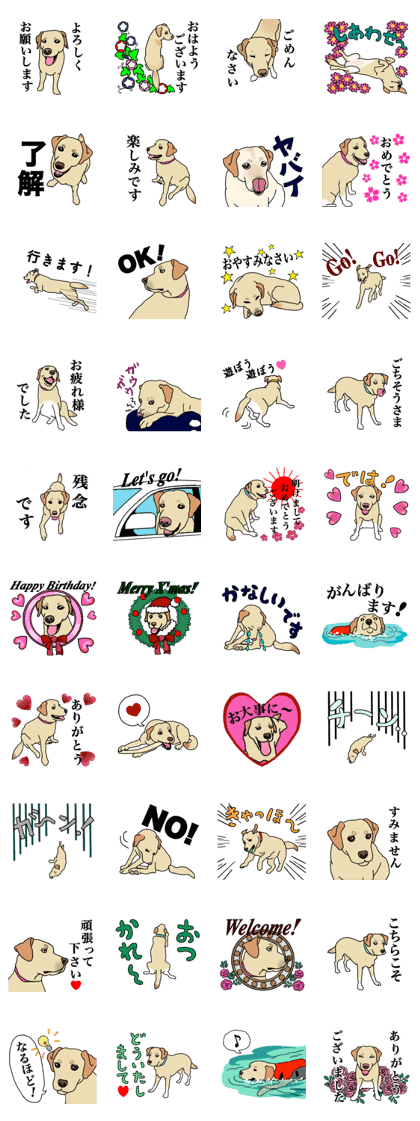 JULIA the Labrador Retriever JULIA the Labrador Retriever