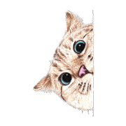 Nala and White Coffee Cat