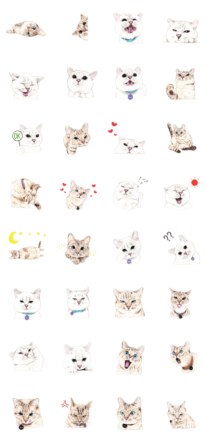 Nala and White Coffee Cat