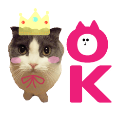 I'm KIKI. I am KIKI.