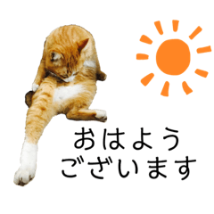 Ului._20201120151121