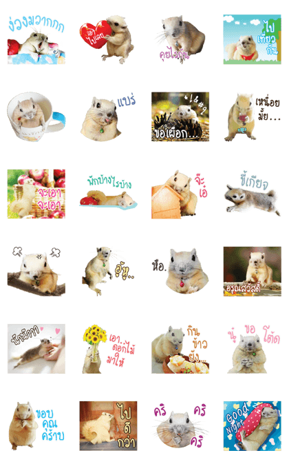 A little Squirrel2 Kwan & Khing A little Squirrel2 Kwan & Khing