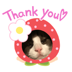 smile_20201120152146