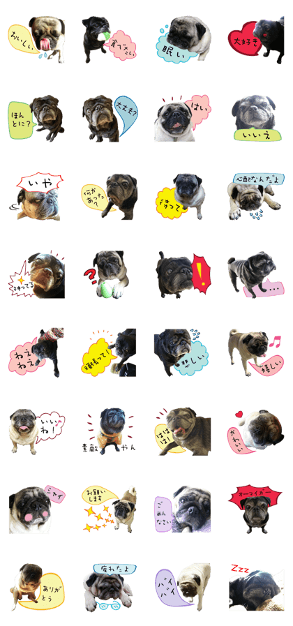 7 pugs and ete 7 pugs and ete