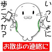 MUNI-MUNI Seals a walk