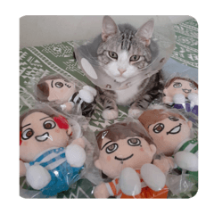 miki_20201120163141