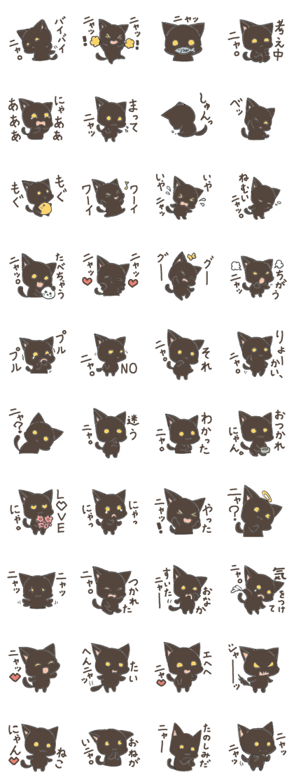 black playful kitten