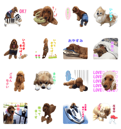 Our family member, Matsuge & Nasan