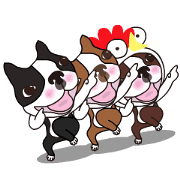 Animated Boston Terrier 2