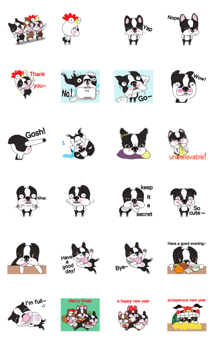 Animated Boston Terrier 2