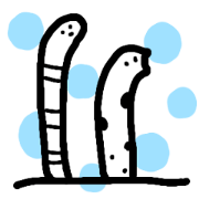 Sainatsu's Sea friends