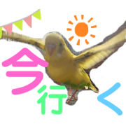 Mami_20201120182359