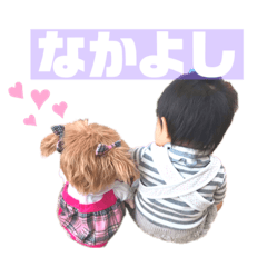 Hikari_20201120191931