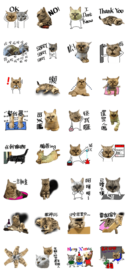 A cat from Saturn 4 A cat from Saturn 4