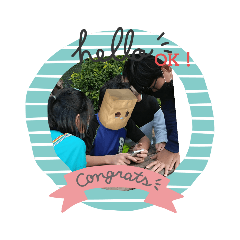 cherry_20201120211954