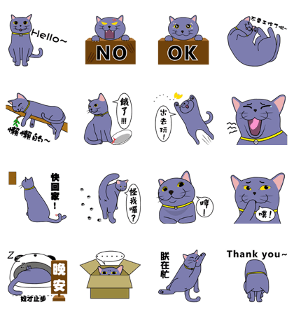 Aki's daily life(2) Aki's daily life(2)