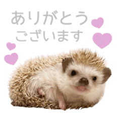 ネズミ Lineクリエイターズスタンプまとめ Stamplist ネズミ Lineクリエイターズスタンプまとめ Stamplist