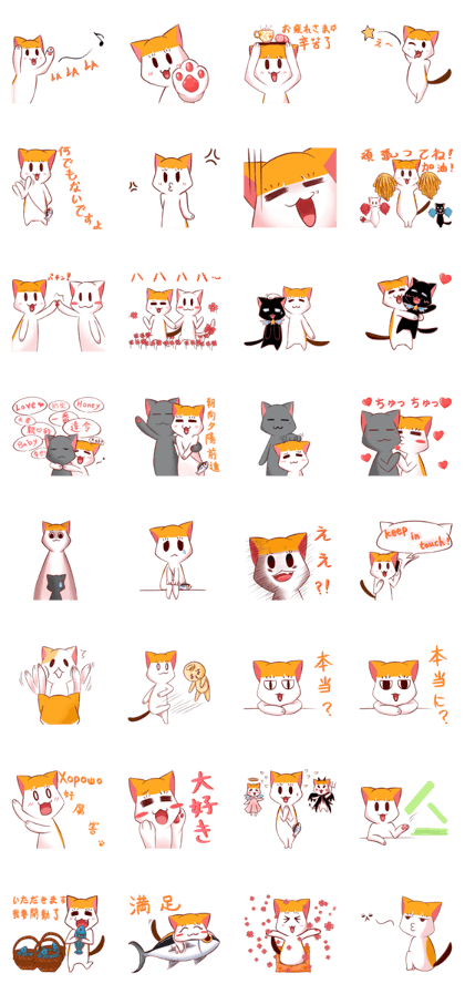 Bangs cat Mikann Bangs cat Mikann