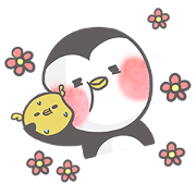 morning penguin morning penguin