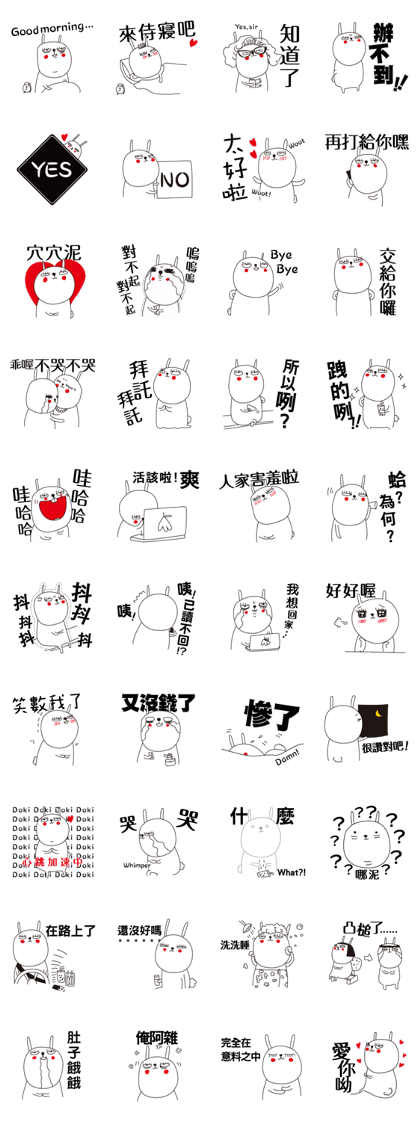 Jay the Rabbit and her everday life Jay the Rabbit and her everday life