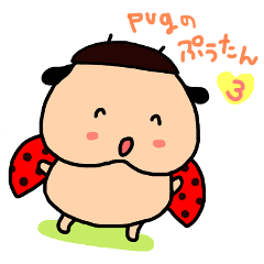 pug "pu-tan" part3