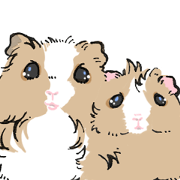 Tokorozawa&Momo Tokorozawa&Momo