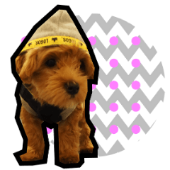 Dog honorific sticker